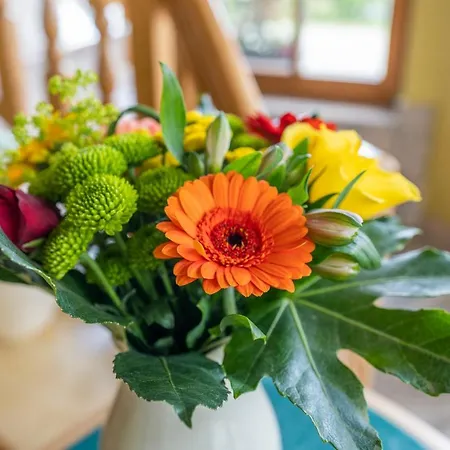 Gaestehaus Arracher Hof Casa vacanze *